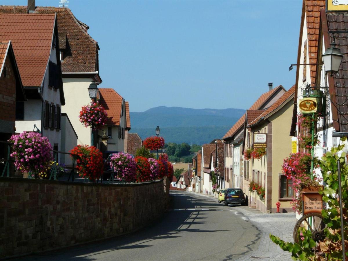 Hotel Et Spa Du Scharrach Scharrachbergheim-Irmstett Exteriér fotografie